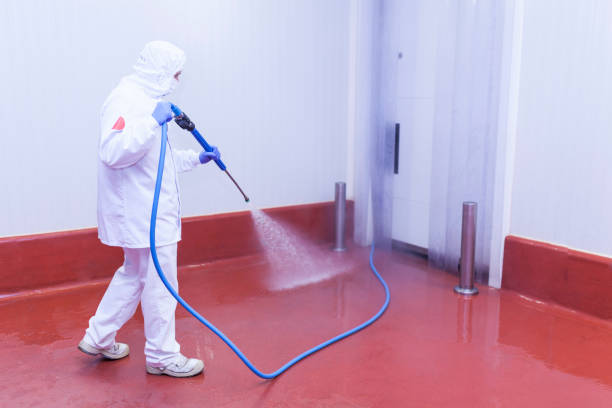 Best Dumpster Area Cleaning  in Trabuco Nyon, CA